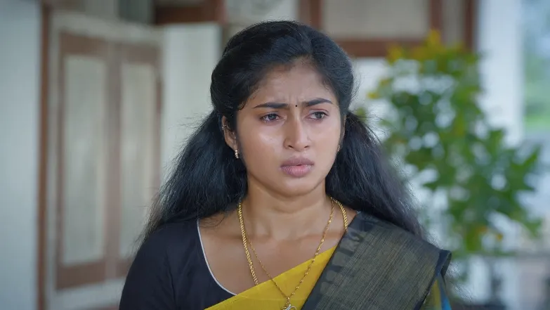 Veera - April 25, 2025 - Episode Spoiler