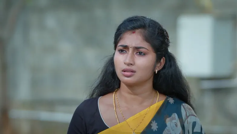 Veera - April 24, 2025 - Episode Spoiler