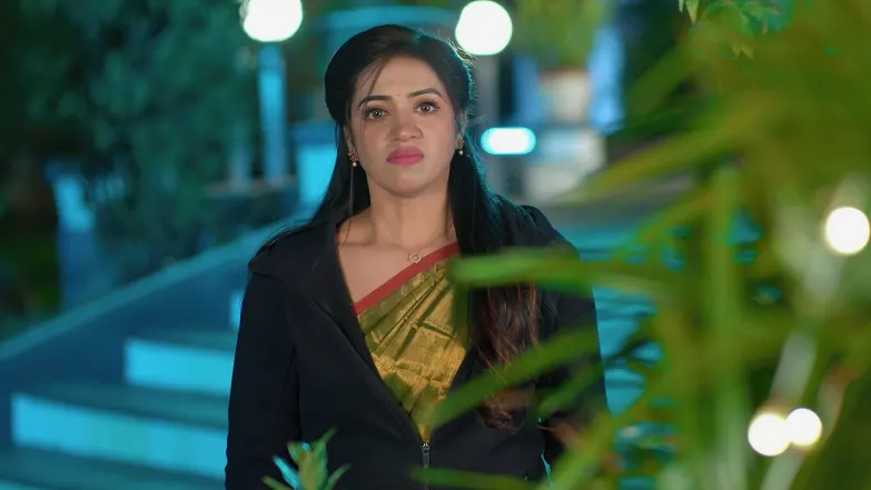 Karthigai Deepam - April 22, 2025 - Episode Spoiler