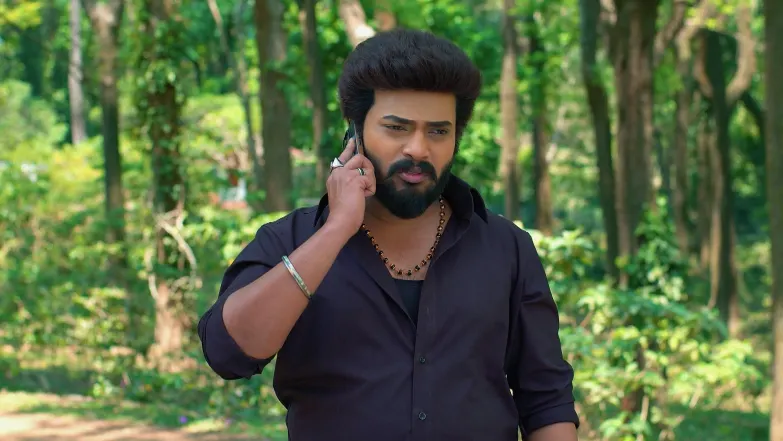 Karthigai Deepam - April 24, 2025 - Episode Spoiler