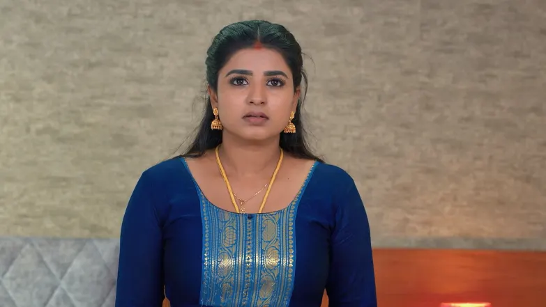 Karthigai Deepam - April 23, 2025 - Episode Spoiler