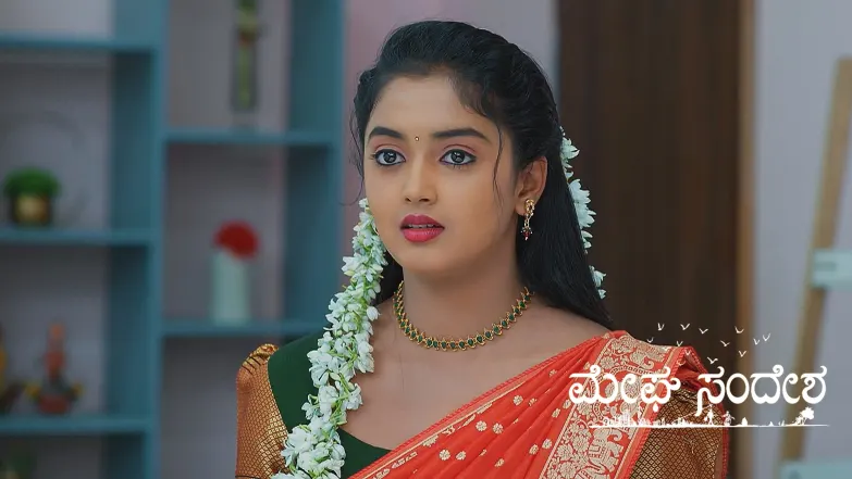 Meghasandesha - April 27, 2025 Episode 223