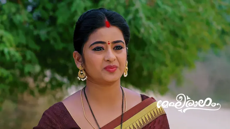 Meghana Gets Surendran Arrested Episode 649