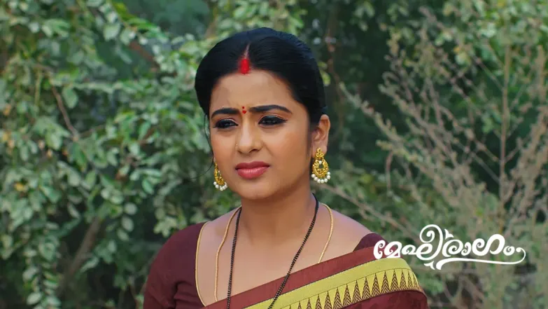 Meghana Rescues Sekharan Episode 648