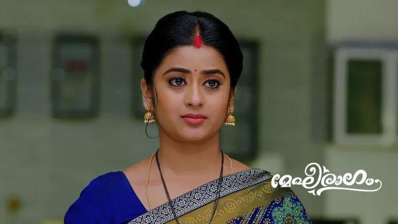 Mithun Plans to Confess His Love to Meghana Episode 652