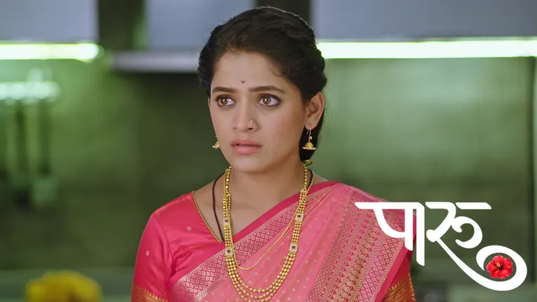Priya Sees Aditya and Paaru Sharing a Meal Episode 424