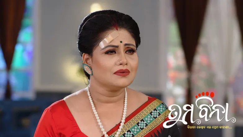 Richa's Orders for Her Goon Episode 284