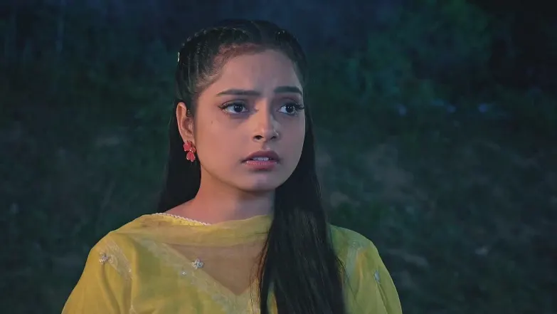 Kashni | April 21 - April 26, 2025 27th April 2025 Webisode