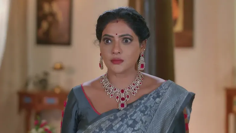 Karthigai Deepam - April 28, 2025 - Best Scene 