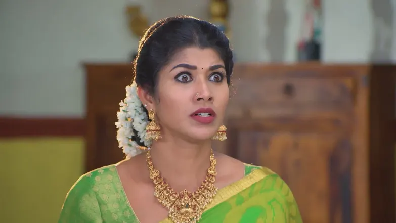Sandhya Raagam - April 28, 2025 - Best Scene 