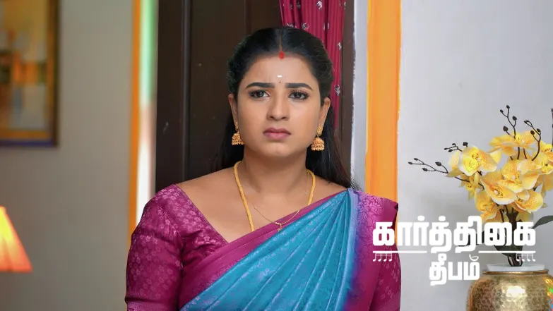 Raja Convinces Chamundeshwari to Send Rajarajan back Episode 801