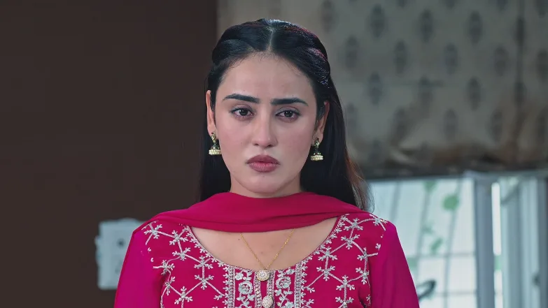 Sehajveer - May 12, 2025 - Episode Spoiler