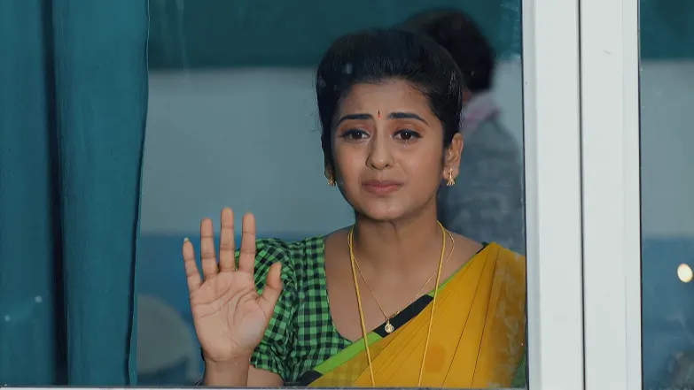 Dheerga Sumangali Bhava - May 09, 2025 Episode 29