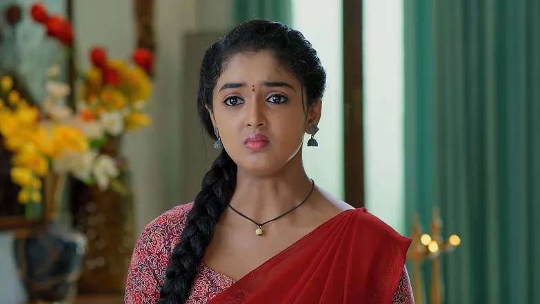 Meghasandesam - May 09, 2025 - Episode Spoiler