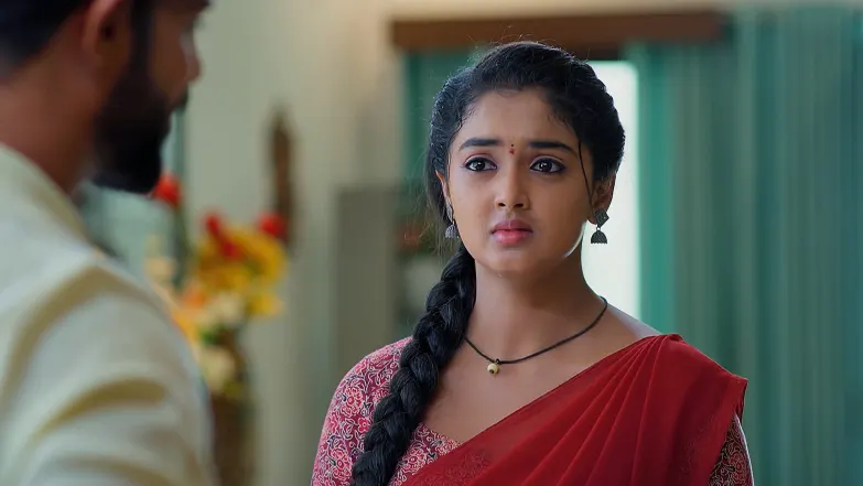 Meghasandesam - May 12, 2025 - Episode Spoiler