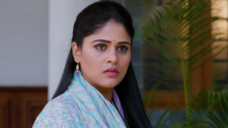 Lakshmi Niwas - May 11, 2025 - Episode Spoiler
