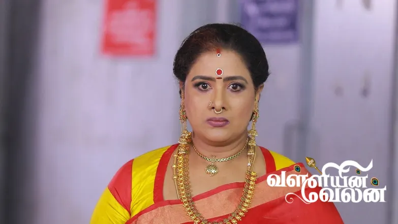 Vedhanayagi Faces Disappointment Episode 199