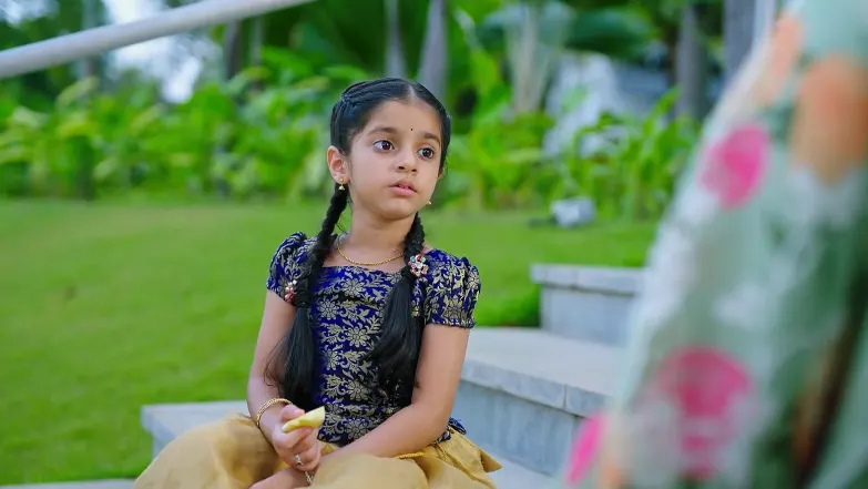 Amruthadhaare - May 08, 2025 - Episode Spoiler