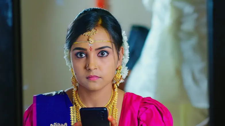 Geetha and Govinda's Remarriage Episode 133