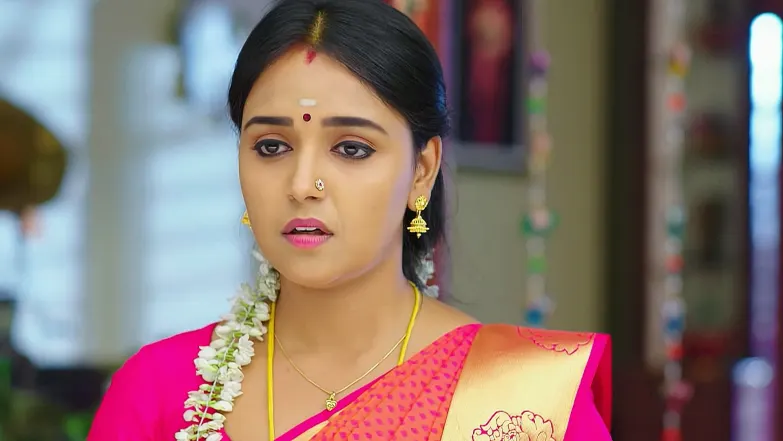 Geetha Govinda - May 08, 2025 - Episode Spoiler