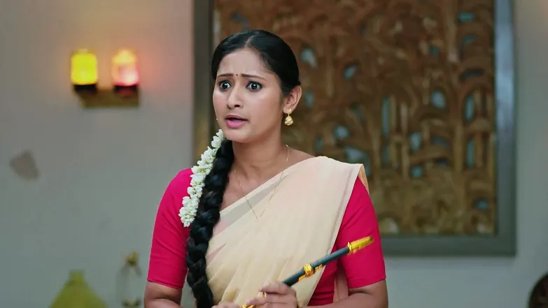 Naa Ninna Bidalaare - May 09, 2025 - Episode Spoiler