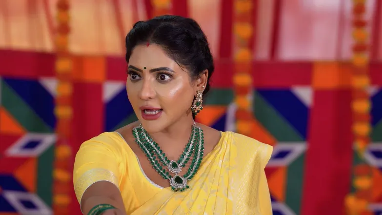 Karthigai Deepam - May 07, 2025 - Episode Spoiler