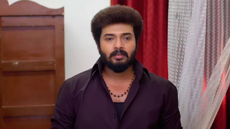 Karthigai Deepam - May 08, 2025 - Episode Spoiler