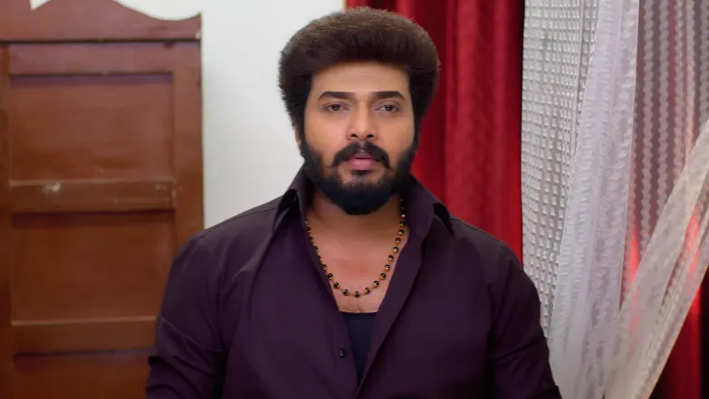 Karthigai Deepam - May 08, 2025 - Episode Spoiler
