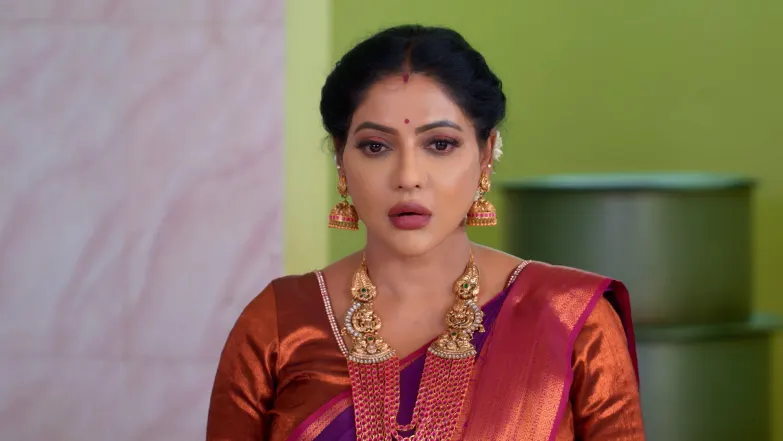Karthigai Deepam - May 09, 2025 - Episode Spoiler