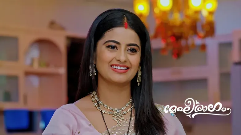 Manjari to Ruin Meghana's Special Day Episode 660
