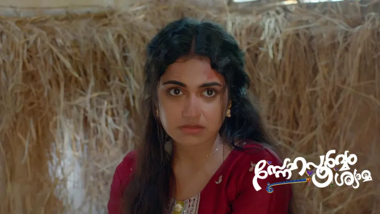 Snehapoorvam Shyama - May 17, 2025 Episode 210