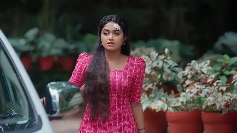 Snehapoorvam Shyama - May 19, 2025 - Episode Spoiler