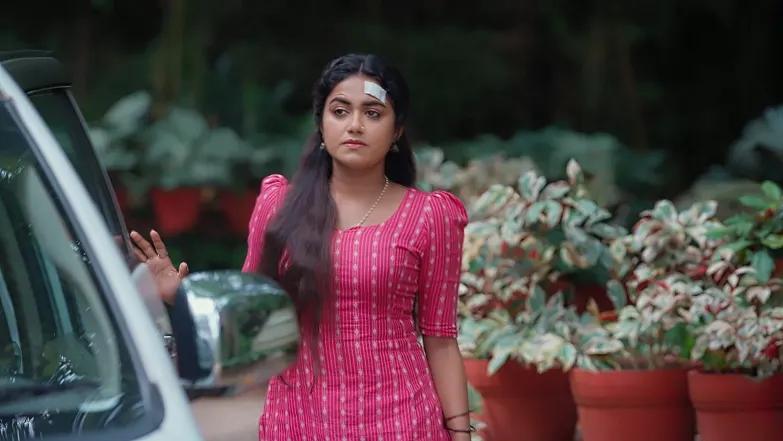 Snehapoorvam Shyama - May 19, 2025 - Episode Spoiler