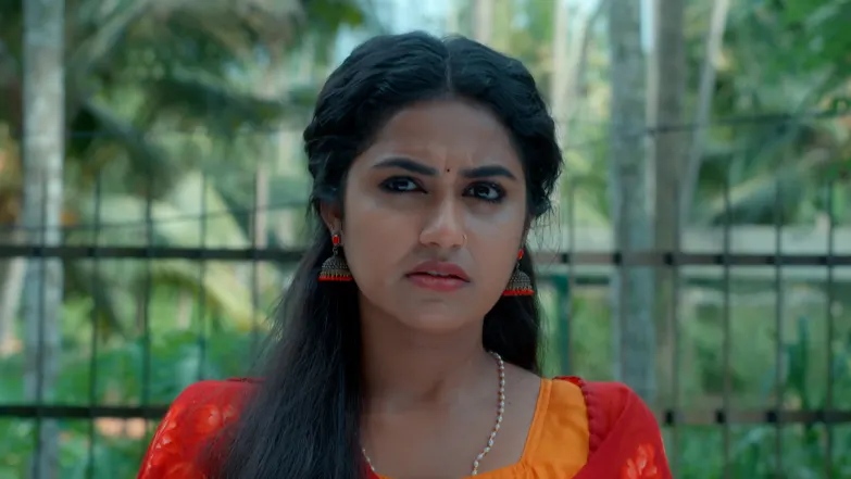 Snehapoorvam Shyama - May 13, 2025 - Episode Spoiler