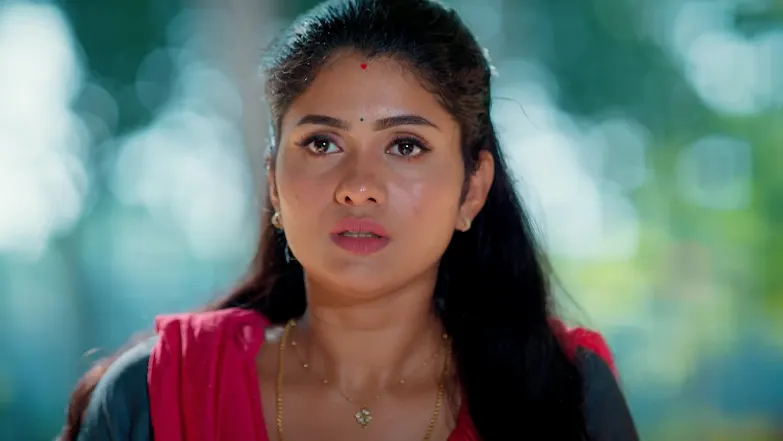 Apoorvaragam - May 17, 2025 - Episode Spoiler