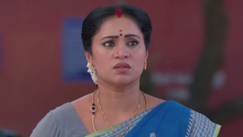 Sandhya Raagam - May 14, 2025 - Best Scene 