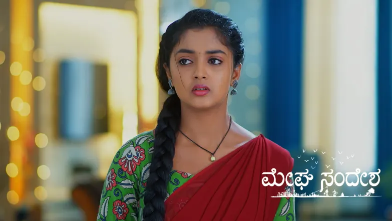 Meghasandesha - May 15, 2025 Episode 246