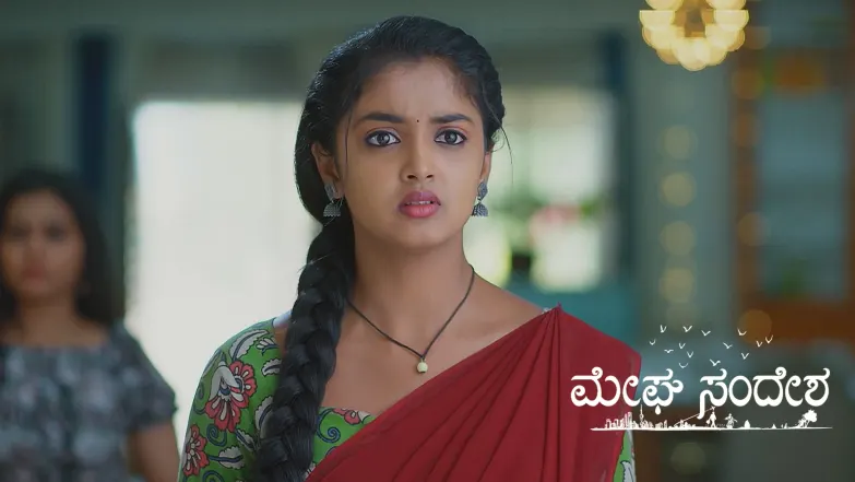The Theft Accusation Hurts Krishna Episode 247