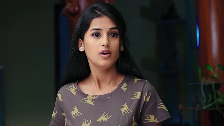 Chaitra Feels Hurt by Hamsa's Words Episode 41