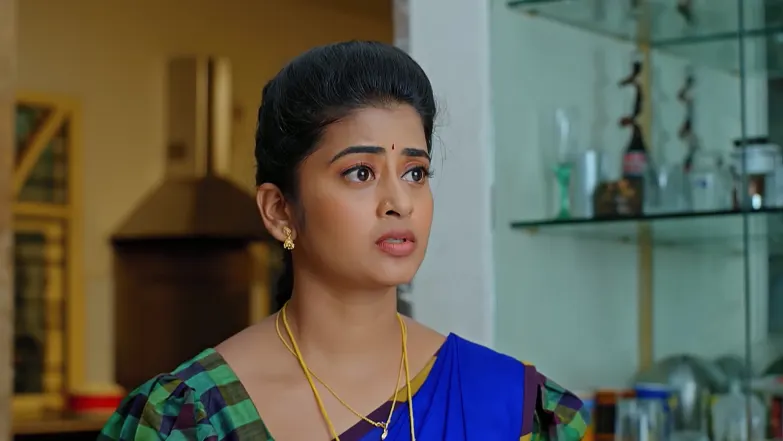 Dheerga Sumangali Bhava - May 12, 2025 Episode 31