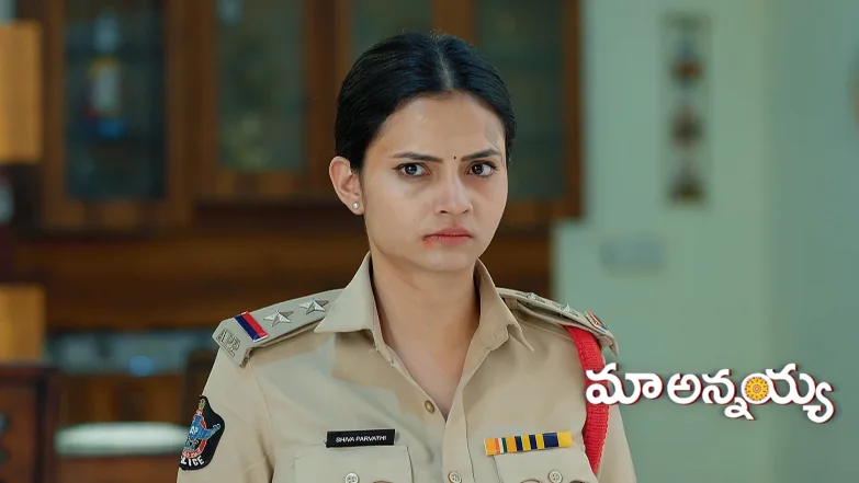 Maa Annayya - May 17, 2025 Episode 377