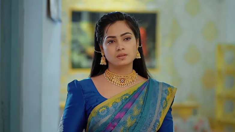 Viswa’s Surprise for Jahnavi’s Birthday Episode 65