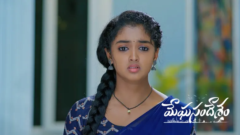 Meghasandesam - May 17, 2025 Episode 313