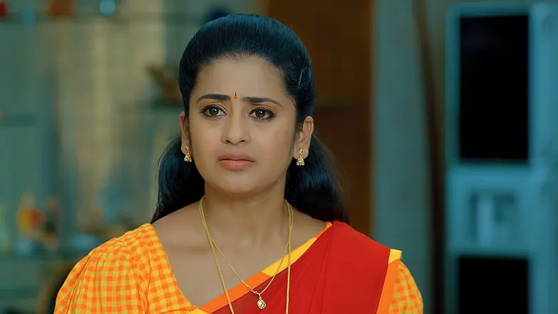 Dheerga Sumangali Bhava - May 24, 2025 Episode 42