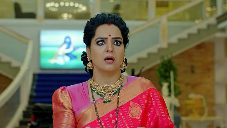 Ummadi Kutumbam - May 22, 2025 - Episode Spoiler