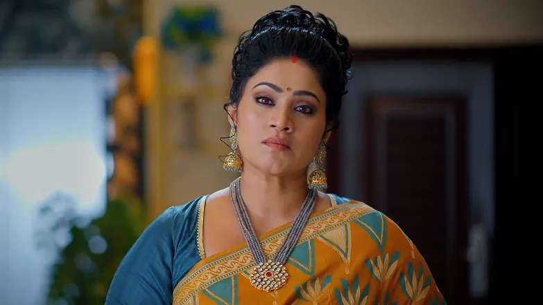 Meghasandesam - May 22, 2025 - Episode Spoiler