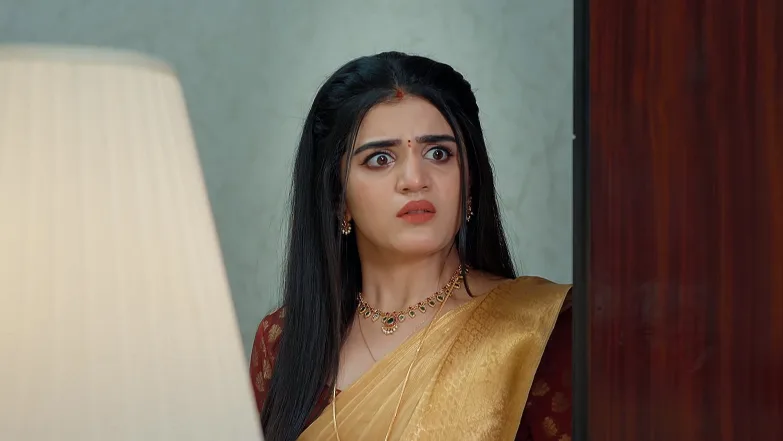 Chamanthi - May 22, 2025 - Episode Spoiler