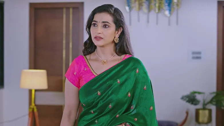 Lakshmi Nivasa - May 21, 2025 - Best Scene 