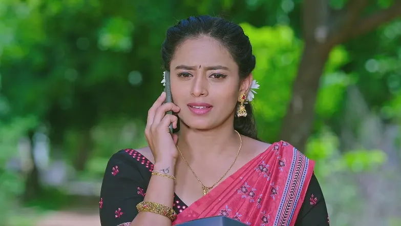 Shravani Subramanya - May 21, 2025 - Best Scene 