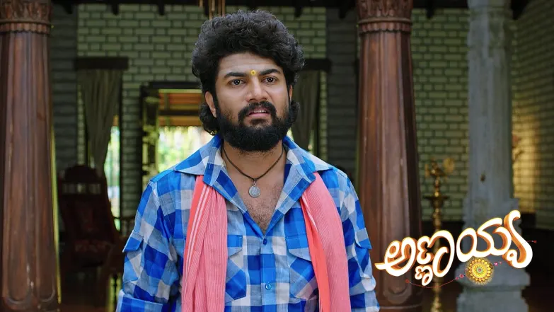 Annayya - May 19, 2025 Episode 201